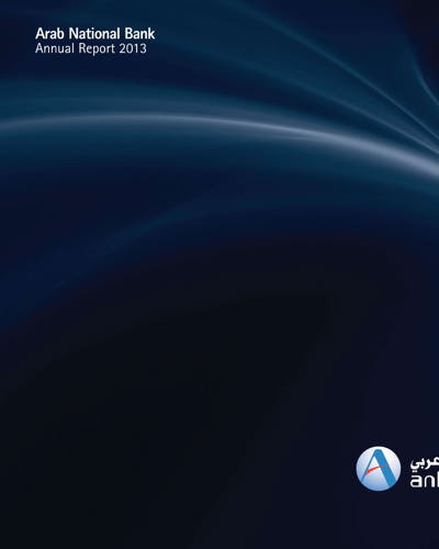 Annual Report 2013